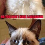 Just take two aspirin and quit being a dumbass... | NO YOU DON'T HAVE A HEADACHE; THAT'S JUST YOUR BRAIN TRYING TO COMPREHEND IT'S OWN STUPIDITY | image tagged in grumpy cat 2x smile,memes,headaches,funny,grumpy cat,cats | made w/ Imgflip meme maker