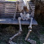 skeleton on bench
