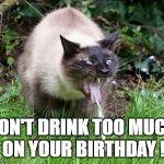 Cat Barfing | DON'T DRINK TOO MUCH ON YOUR BIRTHDAY ! | image tagged in cat barfing | made w/ Imgflip meme maker