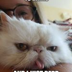 Bert and Ernie | HI, MY NAME IS ERNIE; AND I JUST BERT MY TONGUE! | image tagged in ernie the cat,bert and ernie,grumpy cat,funny cats,puns | made w/ Imgflip meme maker