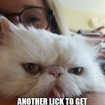 The owl said the world may never know... challenge accepted | ANOTHER DAY.. ANOTHER LICK TO GET TO THE TOOTSIE ROLL CENTER OF A TOOTSIE POP | image tagged in ernie the cat,tootsie pop owl,funny cats,challenge accepted rage face,doge | made w/ Imgflip meme maker