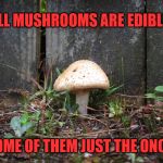mushroom | ALL MUSHROOMS ARE EDIBLE; SOME OF THEM JUST THE ONCE | image tagged in mushroom | made w/ Imgflip meme maker