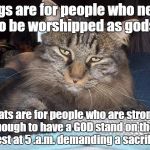 Skye - fixed
 | Dogs are for people who need to be worshipped as gods. Cats are for people who are strong enough to have a GOD stand on their chest at 5 .a.m. demanding a sacrifice. | image tagged in skye | made w/ Imgflip meme maker