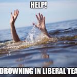 drowning | HELP! I'M DROWNING IN LIBERAL TEARS! | image tagged in drowning | made w/ Imgflip meme maker