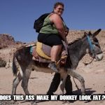 Does This Ass Make My Donkey Look Fat? | DOES  THIS  ASS  MAKE  MY  DONKEY  LOOK  FAT ? | image tagged in fat chick on donkey | made w/ Imgflip meme maker