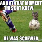 I'm Screwed | AND AT THAT MOMENT THIS CAT KNEW; HE WAS SCREWED | image tagged in i'm screwed | made w/ Imgflip meme maker