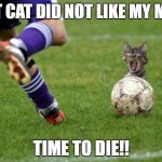 I'm Screwed | THAT CAT DID NOT LIKE MY MEME; TIME TO DIE!! | image tagged in i'm screwed | made w/ Imgflip meme maker