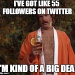 Big deal | I'VE GOT LIKE 55 FOLLOWERS ON TWITTER; I'M KIND OF A BIG DEAL | image tagged in big deal | made w/ Imgflip meme maker