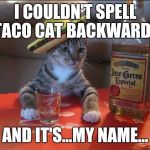 HIS BROTHER TUNA NUT WARNED HIM ABOUT THE SOBRIETY TEST! (tyvm to BBCimage for inspiration and isayisay for u shd post this) :D | I COULDN'T SPELL TACO CAT BACKWARDS; AND IT'S...MY NAME... | image tagged in funny,partycat,humor,cats,animals,memes | made w/ Imgflip meme maker