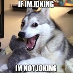 joking husky | IF IM JOKING; IM NOT JOKING | image tagged in joking husky | made w/ Imgflip meme maker