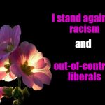 Pink Flowers black background | I stand against racism; and; out-of-control liberals | image tagged in pink flowers black background | made w/ Imgflip meme maker