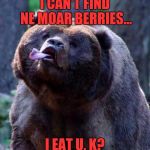 Derpy Bear | I CAN'T FIND NE MOAR BERRIES... I EAT U, K? | image tagged in derpy bear | made w/ Imgflip meme maker
