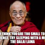 The Dalai Lama | IF YOU THINK YOU ARE TOO SMALL TO MAKE A DIFFERENCE, TRY SLEEPING WITH A MOSQUITO; THE DALAI LAMA | image tagged in the dalai lama | made w/ Imgflip meme maker