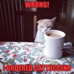 Cat Doesn't Like this Coffee | WRONG! I ORDERED CATTUCCINO | image tagged in cat doesn't like this coffee | made w/ Imgflip meme maker