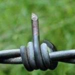 Barbed Wire Flipping The Bird