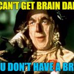 How did he manage to think of that? :) | YOU CAN'T GET BRAIN DAMAGE; IF YOU DON'T HAVE A BRAIN... | image tagged in oz scarecrow,memes,roll safe,films,wizard of oz,if i only had a brain | made w/ Imgflip meme maker