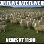 Obama Sheep | WE FEAR IT. WE HATE IT. WE KILL IT. NEWS AT 11:00 | image tagged in obama sheep | made w/ Imgflip meme maker