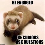 Ferret  | BE ENGAGED; BE CURIOUS                  ASK QUESTIONS | image tagged in ferret | made w/ Imgflip meme maker