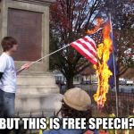 Statues are offensive and must come down | BUT THIS IS FREE SPEECH? | image tagged in burning flag | made w/ Imgflip meme maker