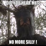 Monty Python Knights | DID YOU HEAR ME ? NO MORE SILLY ! | image tagged in monty python knights | made w/ Imgflip meme maker