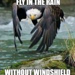 Eagles | HOW DO BIRDS FLY IN THE RAIN; WITHOUT WINDSHIELD WIPERS | image tagged in eagles | made w/ Imgflip meme maker