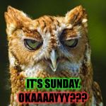 Day Of Rest, Dammit (lol) | OKAAAAYYY??? IT'S SUNDAY. | image tagged in bored owl | made w/ Imgflip meme maker