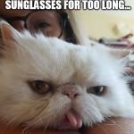 Mondays are for the blind | WHEN YOU STARE AT THE ECLIPSE WITHOUT YOUR SUNGLASSES FOR TOO LONG... | image tagged in ernie the cat,eclipse,mondays,cats,memes | made w/ Imgflip meme maker