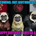 Game of Thrones Pug | WINTER IS COMING; BUT BIRTHDAYS COME FIRST! HAPPY BIRTHDAY ANEESA X X | image tagged in game of thrones pug | made w/ Imgflip meme maker