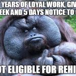 Fat orangutan with middle finger | 3 YEARS OF LOYAL WORK, GIVE A WEEK AND 5 DAYS NOTICE TO QUIT; "NOT ELIGIBLE FOR REHIRE" | image tagged in fat orangutan with middle finger | made w/ Imgflip meme maker