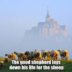 good shepherd | The good shepherd lays down his life for the sheep | image tagged in good shepherd | made w/ Imgflip meme maker