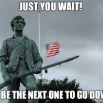 Minuteman statue | JUST YOU WAIT! I'LL BE THE NEXT ONE TO GO DOWN! | image tagged in minuteman statue | made w/ Imgflip meme maker
