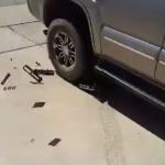 StealingPunishmentxbox