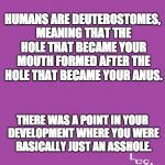 Laughing at bullies | HUMANS ARE DEUTEROSTOMES, MEANING THAT THE HOLE THAT BECAME YOUR MOUTH FORMED AFTER THE HOLE THAT BECAME YOUR ANUS. THERE WAS A POINT IN YOUR DEVELOPMENT WHERE YOU WERE BASICALLY JUST AN ASSHOLE. | image tagged in laughing at bullies | made w/ Imgflip meme maker
