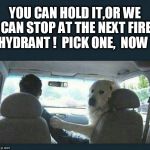 doge | YOU CAN HOLD IT,OR WE CAN STOP AT THE NEXT FIRE HYDRANT !  PICK ONE,  NOW ! | image tagged in doge,piss,pee,ride,dog,restroom | made w/ Imgflip meme maker