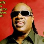 ...The following day | Look directly into the sun during the Solar Eclipse, they said. It would be fun, they said. | image tagged in stevie wonder,solar eclipse,memes | made w/ Imgflip meme maker