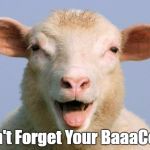 Derp Sheep | Don't Forget Your BaaaCode | image tagged in derp sheep | made w/ Imgflip meme maker