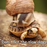 Slow Day | Don't let the slow days; In future success. Prevent you from having faith | image tagged in slow day | made w/ Imgflip meme maker