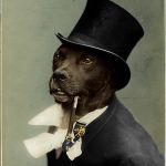 Old Money Dog | JARVIS! LIFT MY CHIN HIGHER, SO I CAN BETTER LOOK AT THIS RABBLE OVER MY SHOULDER | image tagged in old money dog | made w/ Imgflip meme maker