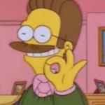 ???? Ned Flanders 