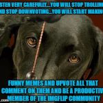 I figured it was worth a shot!!!  LOL | LISTEN VERY CAREFULLY....YOU WILL STOP TROLLING AND STOP DOWNVOTING...YOU WILL START MAKING; FUNNY MEMES AND UPVOTE ALL THAT COMMENT ON THEM AND BE A PRODUCTIVE MEMBER OF THE IMGFLIP COMMUNITY | image tagged in dog hypnotize,memes,trolling,dogs,funny,animals | made w/ Imgflip meme maker