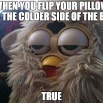 High Furby | WHEN YOU FLIP YOUR PILLOW TO THE COLDER SIDE OF THE BED; TRUE | image tagged in high furby | made w/ Imgflip meme maker