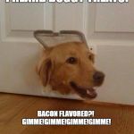 Dog door | I HEARD DOGGY TREATS! BACON FLAVORED?! GIMME!GIMME!GIMME!GIMME! | image tagged in dog door | made w/ Imgflip meme maker