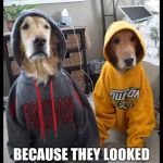 IT'S AMAZING WHAT PEOPLE CAN SEE AND NAZI! :D | WHY IS ANTIFA RIOTING IN MARYLAND? BECAUSE THEY LOOKED AT YOUR HOODY AND SAW ARYAN! | image tagged in funny,thug dogs,politics,animals,memes,dogs | made w/ Imgflip meme maker