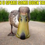 homeless duck | CAN U SPARE SOME DUCK TAPE? | image tagged in duck,homeless | made w/ Imgflip meme maker
