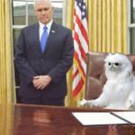 Guardian Cat In Oval Office meme