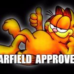 Garfield approves | GARFIELD  APPROVES | image tagged in garfield thumbs up | made w/ Imgflip meme maker
