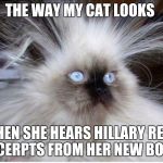 Frazzled over politics | THE WAY MY CAT LOOKS; WHEN SHE HEARS HILLARY READ EXCERPTS FROM HER NEW BOOK | image tagged in frazzled over politics | made w/ Imgflip meme maker