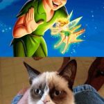 Much more realistic :> | "BELIEVE AND YOU'LL FLY!"; I BELIEVE YOU'LL FALL AND DIE | image tagged in memes,grumpy cat does not believe,grumpy cat,peter pan,believe | made w/ Imgflip meme maker