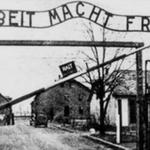 Arbeit macht frei