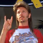 Joe dirt